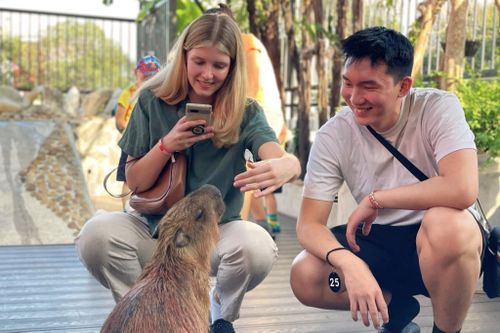 Quán cà phê ở TP.HCM đón bộn khách nhờ 'nhà ngoại giao' capybara