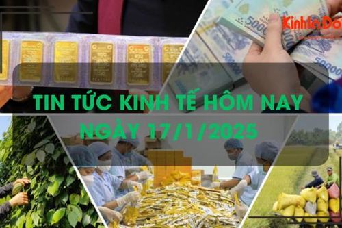 Tin tức kinh tế 17/1: Việt Nam sản xuất 1 triệu hecta lúa giảm phát thải