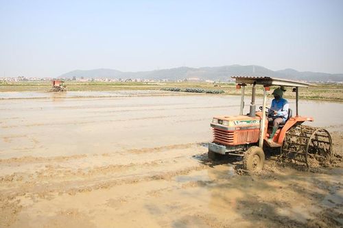 Kết thúc Đợt 1 lấy nước, các hồ chứa thủy điện đã xả 1,363 tỷ m3 nước phục vụ gieo cấy