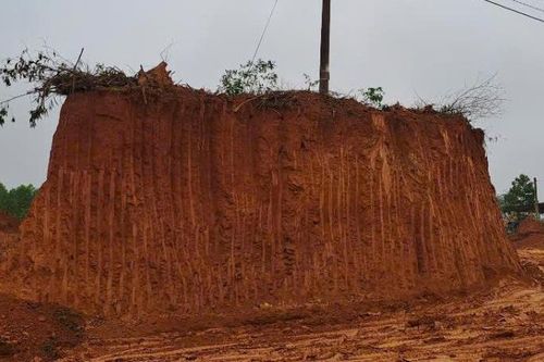 Khai thác đất trái phép, một giám đốc cùng chủ đất và 2 đối tượng liên quan bị khởi tố