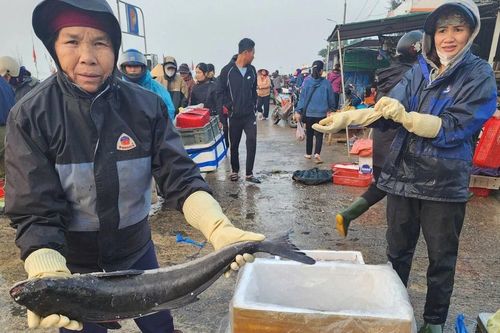 Làng biển miền Trung tất bật vào vụ tết