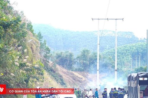 Tuyên Quang: Cháy rừng tại phường Nông Tiến