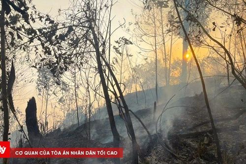 Đốt nương rẫy làm cháy khoảng 2ha rừng tại Bắc Kạn