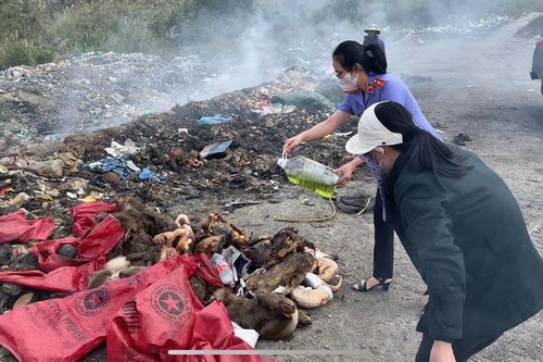 Kiểm sát việc tiêu hủy vật chứng vụ mua bán động vật hoang dã quy mô lớn