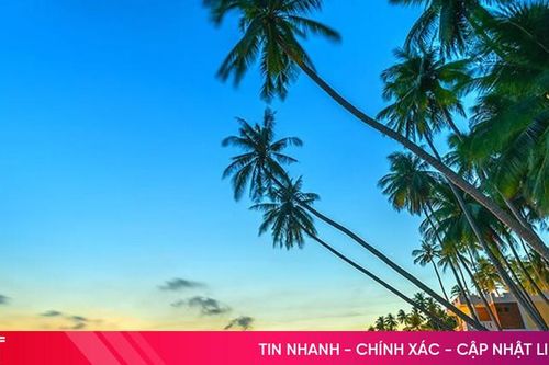 Đừng bỏ lỡ 4 khách sạn Mũi Né sang trọng view biển trên Traveloka