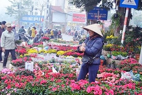 Đường xuân bốn mùa hoa
