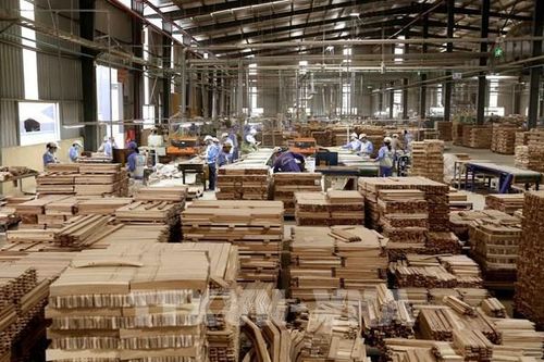 Đối mặt sức ép, ngành gỗ Bình Định đề ra loạt giải pháp tăng trưởng xuất khẩu năm 2025