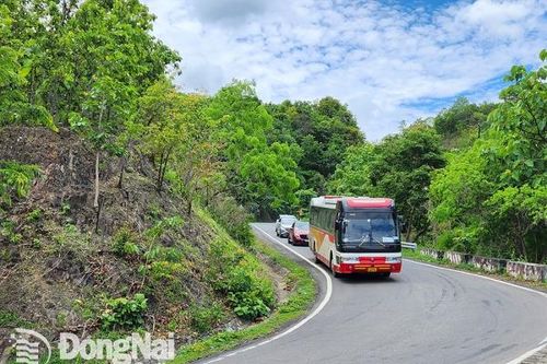 Con đường ngắn nhất nối biển và hoa