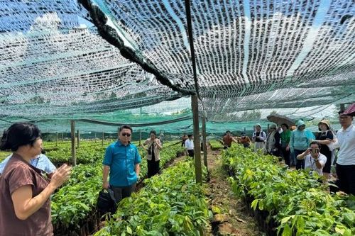 Nhiều kết quả trong phát triển giống cây trồng, vật nuôi