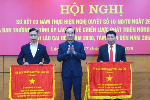 Sản xuất nông nghiệp hàng hóa là giải pháp khả thi để nông dân làm giàu