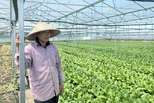 Hợp tác xã của những cựu chiến binh
