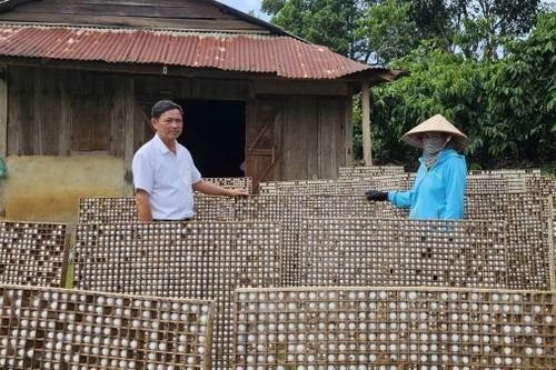 Nghị lực vượt khó của chị Tình