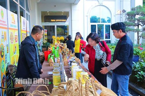 Hiệp hội Du lịch Ninh Bình triển khai nhiệm vụ năm 2025