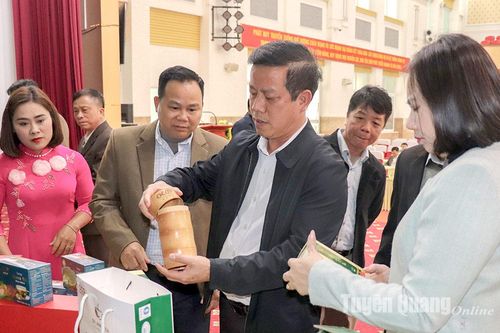 Thay đổi bao bì, nhãn mác sản phẩm OCOP: Bắt kịp xu thế tiêu dùng