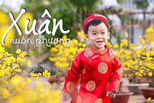 'Tết thiền môn', 'Xuân muôn phương' trên Giác Ngộ online