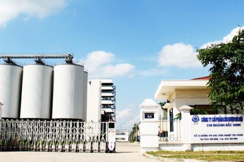 Halico lỗ hơn 8,4 tỷ đồng trong 2024
