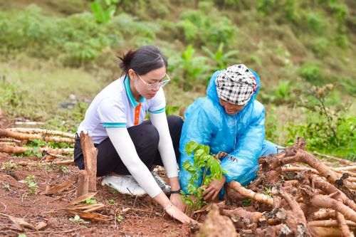 Các tổ chức tín dụng triển khai tích hợp yếu tố ESG vào chiến lược hoạt động