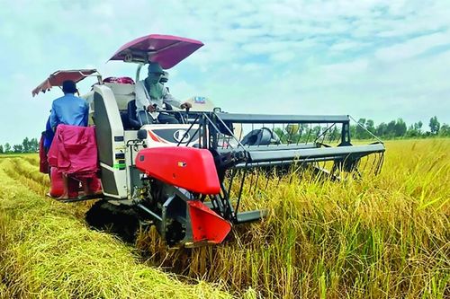 Tín dụng xanh cho tam nông nhiều cơ hội bứt phá
