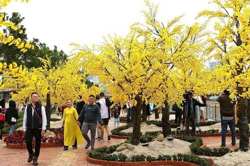 Miền Trung: Rộn ràng các hoạt động văn hóa, nghệ thuật đón Tết