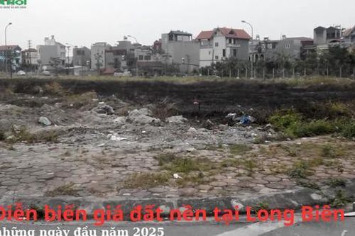 Diễn biến giá đất nền tại Long Biên, Hà Nội những ngày đầu năm 2025