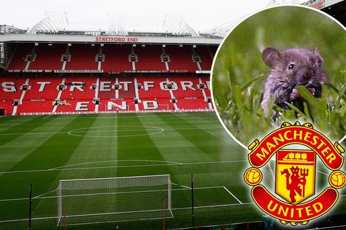 Hình ảnh khó tin ở sân Old Trafford