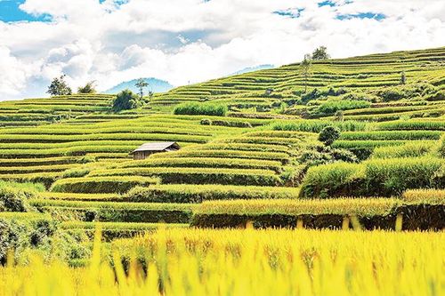 Hoàng Su Phì - miền ruộng bậc thang kỳ ảo