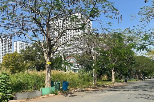 Viết tiếp loạt bài 'Bế tắc cấp sổ hồng nhà, đất': Chủ đầu tư vi phạm xây dựng, ngưng cấp sổ hồng