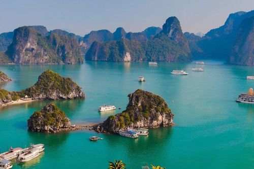 Lấy ý kiến Dự thảo Nghị định về quản lý và bảo vệ di sản văn hóa dưới nước