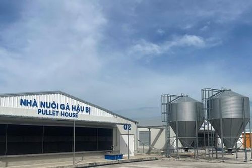 Trại gà Việt Nam đầu tiên đạt tiêu chuẩn xanh thế giới