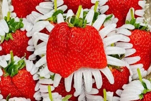 Dâu tây 'công chúa' gần 7 triệu đồng/kg vẫn 'cháy' hàng