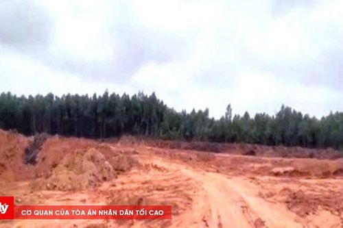 Khởi tố các đối tượng vi phạm quy định về khai thác tài nguyên