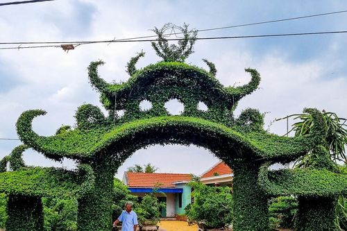 Tỉnh nào trồng nhiều cây cảnh nhất nhất nước ta?