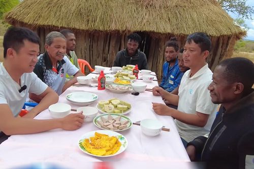 Người châu Phi lần đầu thử bánh tét Việt, tiết lộ lý do thèm nhưng không ăn thêm