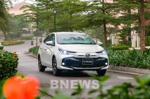 Toyota Việt Nam công bố kết quả kinh doanh nổi bật năm 2024