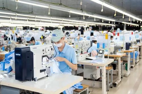 Gỡ vướng cho xuất nhập khẩu tại chỗ: Bài 1 - Xuất nhập khẩu tại chỗ phát sinh nhiều vướng mắc khó giải