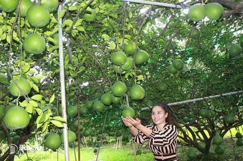 Điểm hẹn Vĩnh Cửu vào Xuân