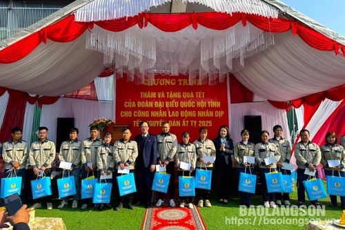 Trao tặng 100 suất quà tết cho đoàn viên, lao động tại huyện Văn Lãng và Lộc Bình