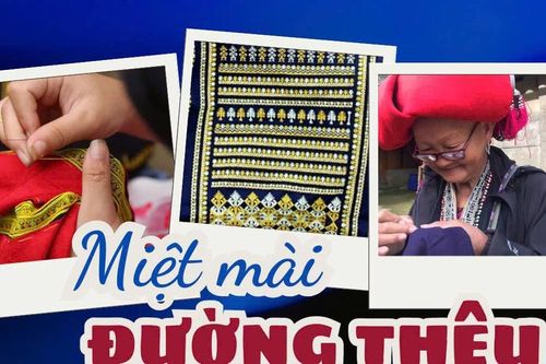 Miệt mài đường thêu