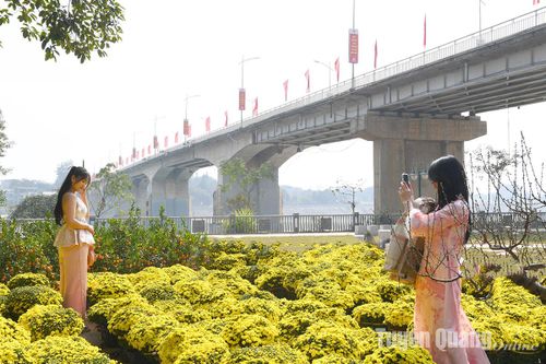 Rực rỡ phố hoa xuân