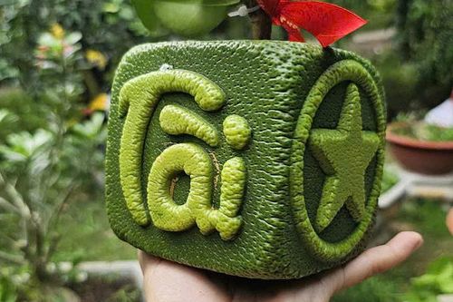 Bưởi vuông in hình chiếm sóng thị trường Tết