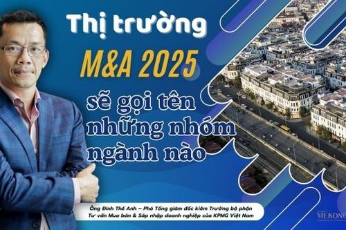 Thị trường M&A 2025 sẽ gọi tên những nhóm ngành nào