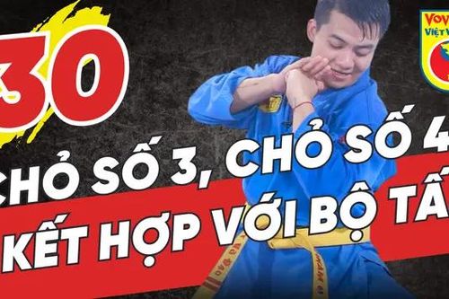 Tinh hoa võ Việt - Tập 30: Chỏ số 3, Chỏ số 4 kết hợp với bộ tấn