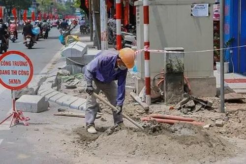 Hà Nội: Yêu cầu dừng đào hè, đường dịp Tết Nguyên đán