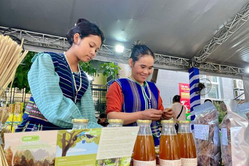 Đồng bào vùng cao mang lá bép, đọt mây, rượu cần... về TP.HCM bán Tết