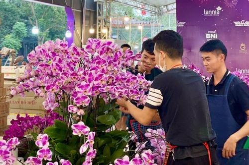 Nghề 'hái' ra tiền dịp Tết, làm cả ngày không hết việc kiếm thu nhập 'siêu khủng'