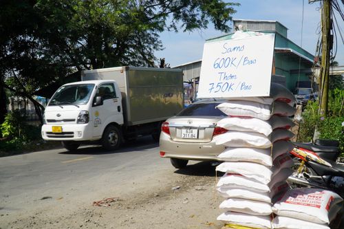 Giá gạo lao dốc, doanh nghiệp đánh xe tải đi bán tống bán tháo