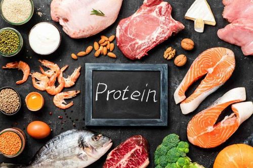 Các nguồn protein tốt cho chế độ ăn uống lành mạnh
