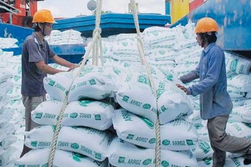 Kỳ vọng xuất khẩu gạo năm 2025