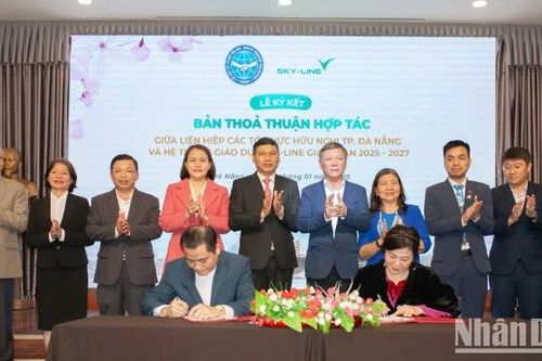 Đà Nẵng thúc đẩy hoạt động đối ngoại nhân dân trong giáo dục