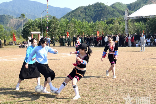 Xuân sớm ở Hải Sơn